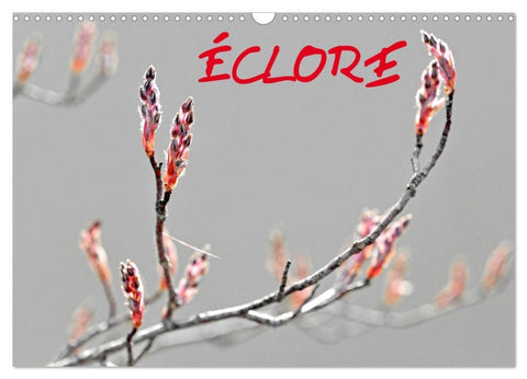 ÉCLORE (Calendrier mural 2026 DIN A3 vertical), CALVENDO calendrier mensuel