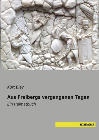 Aus Freibergs vergangenen Tagen