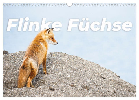 Flinke Füchse (Wandkalender 2027 DIN A3 quer), CALVENDO Monatskalender