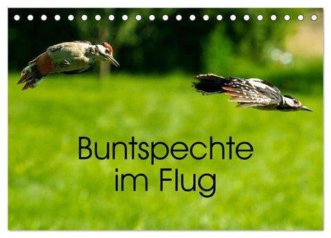 Buntspechte im Flug (Tischkalender 2027 DIN A5 quer), CALVENDO Monatskalender