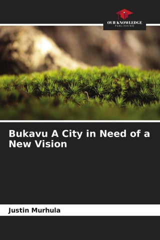 Bukavu A City in Need of a New Vision