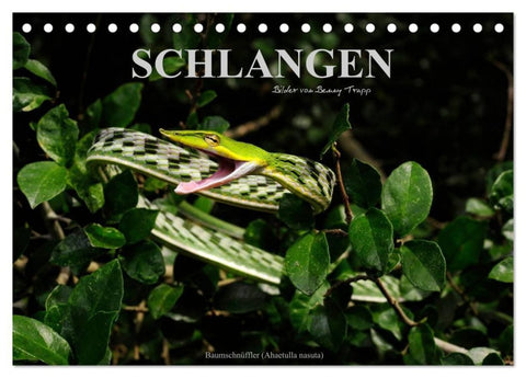 Schlangen (Tischkalender 2027 DIN A5 quer), CALVENDO Monatskalender