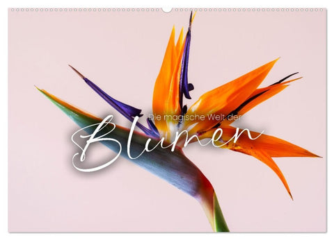 Die magische Welt der Blumen (Wandkalender 2026 DIN A2 quer), CALVENDO Monatskalender