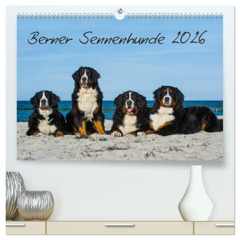 Berner Sennenhund 2026 (hochwertiger Premium Wandkalender 2026 DIN A2 quer), Kunstdruck in Hochglanz