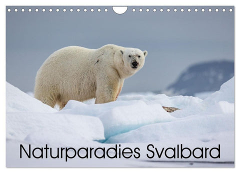 Naturparadies Svalbard (Wandkalender 2027 DIN A4 quer), CALVENDO Monatskalender