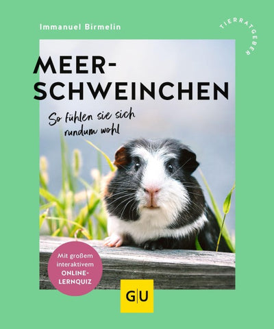 Meerschweinchen