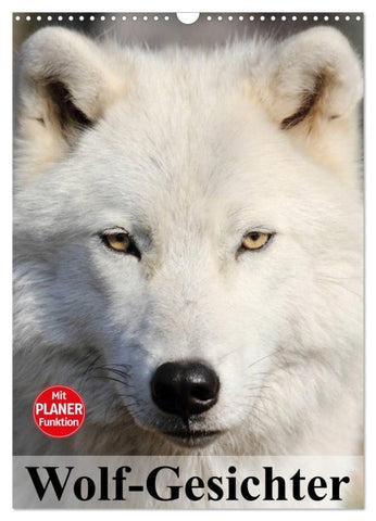 Wolf-Gesichter (Wandkalender 2027 DIN A3 hoch), CALVENDO Monatskalender