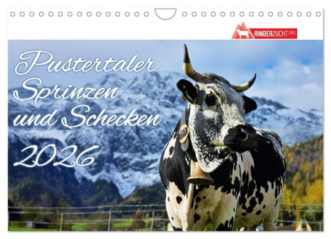 Pustertaler Sprinzen und Schecken 2026 (Wandkalender 2026 DIN A4 quer), CALVENDO Monatskalender