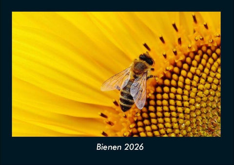 Bienen 2026 Fotokalender DIN A4