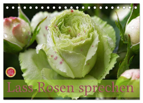 Lass Rosen sprechen (Tischkalender 2027 DIN A5 quer), CALVENDO Monatskalender