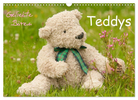 Geliebte Bären - Teddys (Wandkalender 2026 DIN A3 quer), CALVENDO Monatskalender