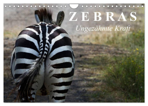 Zebras - Ungezähmte Kraft (Wandkalender 2027 DIN A4 quer), CALVENDO Monatskalender
