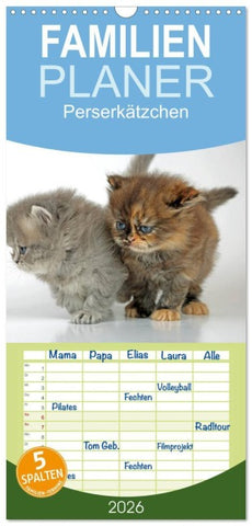 Familienplaner 2026 - Perserkätzchen mit 5 Spalten (Wandkalender, 21 x 45 cm) CALVENDO