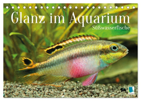 Glanz im Aquarium: Süßwasserfische (Tischkalender 2027 DIN A5 quer), CALVENDO Monatskalender