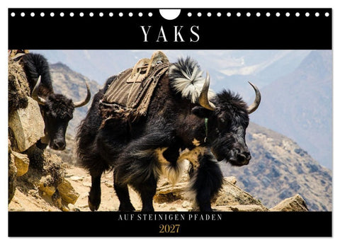 Yaks - auf steinigen Pfaden (Wandkalender 2027 DIN A4 quer), CALVENDO Monatskalender