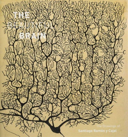 The Beautiful Brain