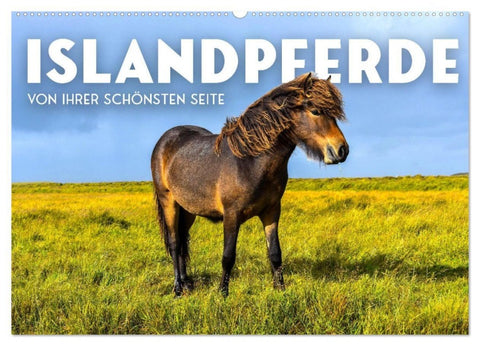 Islandpferde - Von ihrer schönsten Seite (Wandkalender 2027 DIN A2 quer), CALVENDO Monatskalender