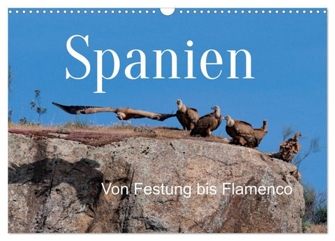 Von Festung bis Flamenco (Wandkalender 2026 DIN A3 quer), CALVENDO Monatskalender