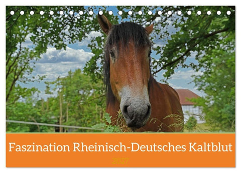 Faszination Rheinisch-Deutsches Kaltblut (Tischkalender 2027 DIN A5 quer), CALVENDO Monatskalender