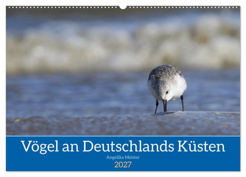 Vögel an Deutschlands Küsten (Wandkalender 2027 DIN A2 quer), CALVENDO Monatskalender