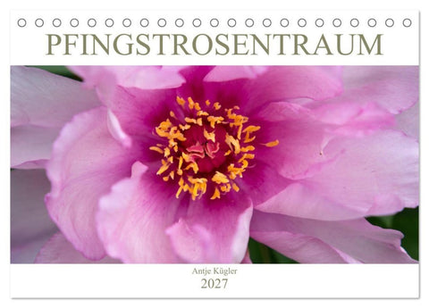 Pfingstrosentraum (Tischkalender 2027 DIN A5 quer), CALVENDO Monatskalender