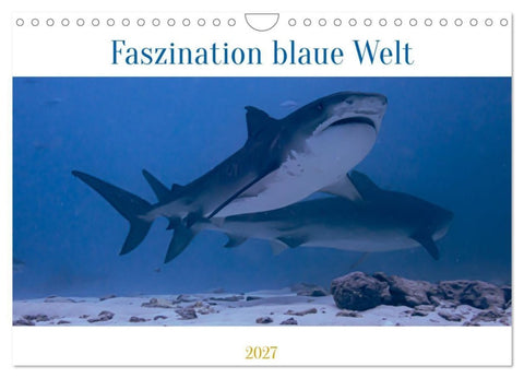 Faszination blaue Welt (Wandkalender 2027 DIN A4 quer), CALVENDO Monatskalender