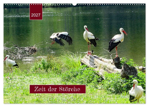 Zeit der Störche (Wandkalender 2027 DIN A2 quer), CALVENDO Monatskalender