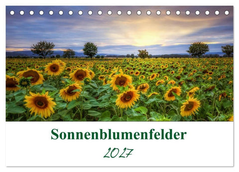 Sonnenblumenfelder (Tischkalender 2027 DIN A5 quer), CALVENDO Monatskalender