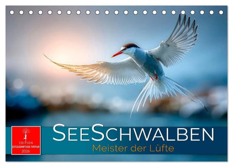 Seeschwalben - Meister der Lüfte (Tischkalender 2026 DIN A5 quer), CALVENDO Monatskalender