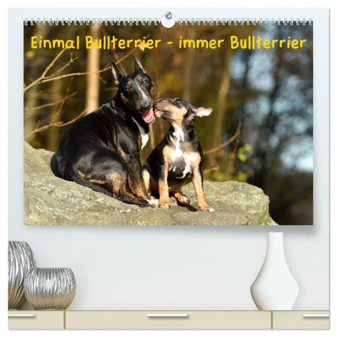 Einmal Bullterrier - immer Bullterrier (hochwertiger Premium Wandkalender 2027 DIN A2 quer), Kunstdruck in Hochglanz