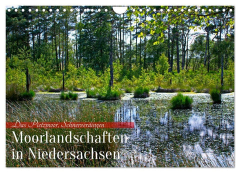 Niedersachsens Moorlandschaften - Das Pietzmoor, Schneverdingen (Wandkalender 2027 DIN A4 quer), CALVENDO Monatskalender
