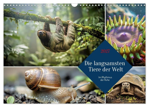 Die langsamsten Tiere der Welt (Wandkalender 2027 DIN A3 quer), CALVENDO Monatskalender