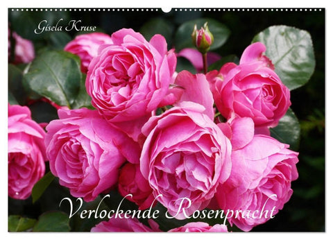 Verlockende Rosenpracht (Wandkalender 2027 DIN A2 quer), CALVENDO Monatskalender