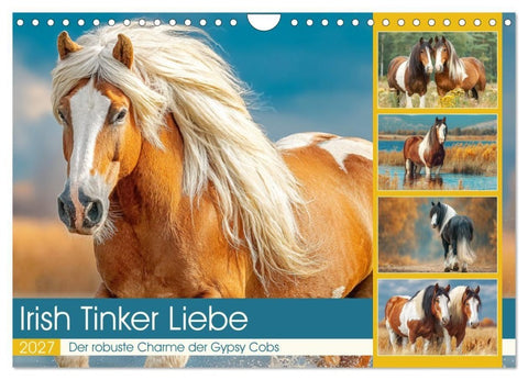 Irish Tinker Liebe. Der robuste Charme der Gypsy Cobs (Wandkalender 2027 DIN A4 quer), CALVENDO Monatskalender