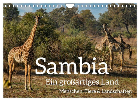 Sambia - ein großartiges Land (Wandkalender 2027 DIN A4 quer), CALVENDO Monatskalender