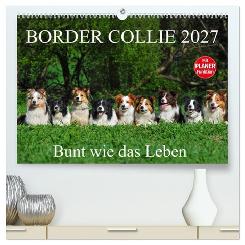 Border Collie 2027 (hochwertiger Premium Wandkalender 2027 DIN A2 quer), Kunstdruck in Hochglanz