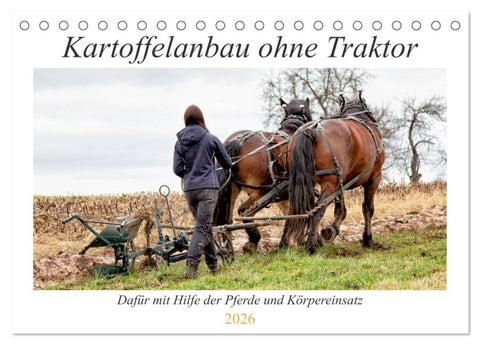 Kartoffelanbau ohne Traktor (Tischkalender 2026 DIN A5 quer), CALVENDO Monatskalender