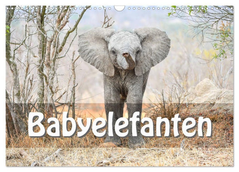 Babyelefanten (Wandkalender 2027 DIN A3 quer), CALVENDO Monatskalender