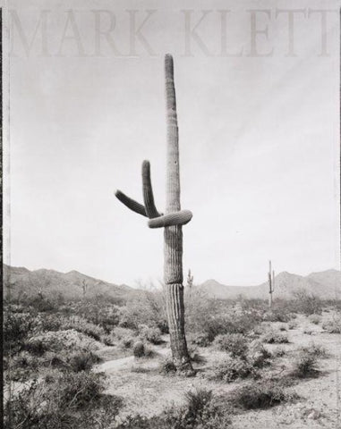 Saguaros
