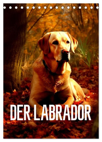 Der Labrador (Tischkalender 2027 DIN A5 hoch), CALVENDO Monatskalender
