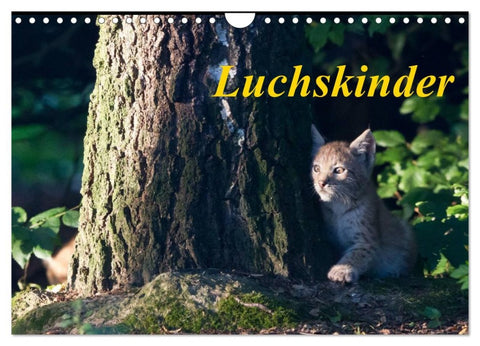 Luchskinder (Wandkalender 2026 DIN A4 quer), CALVENDO Monatskalender
