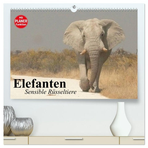 Elefanten. Sensible Rüsseltiere (hochwertiger Premium Wandkalender 2027 DIN A2 quer), Kunstdruck in Hochglanz
