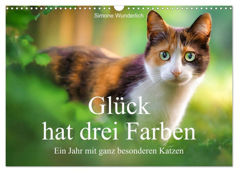 Glück hat drei Farben - ein Jahr mit ganz besonderen Katzen (Wandkalender 2027 DIN A3 quer), CALVENDO Monatskalender