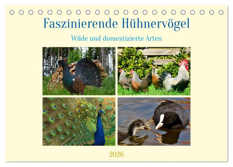 Faszinierende Hühnervögel (Tischkalender 2026 DIN A5 quer), CALVENDO Monatskalender