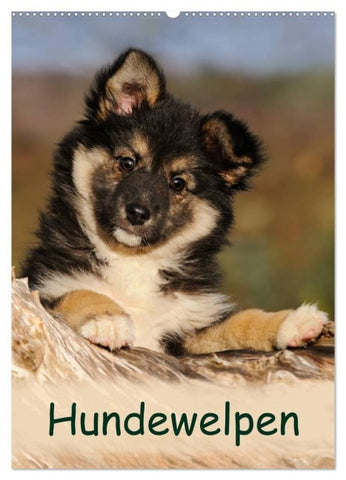 Hundewelpen (Wandkalender 2027 DIN A2 hoch), CALVENDO Monatskalender