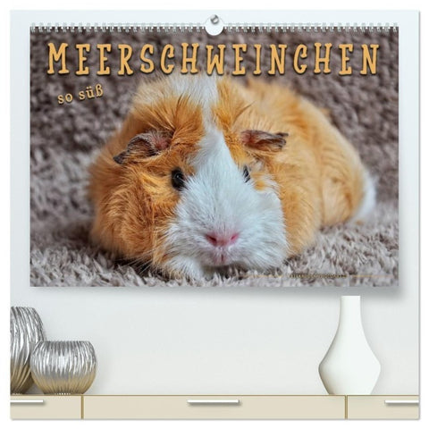 Meerschweinchen - so süß (hochwertiger Premium Wandkalender 2027 DIN A2 quer), Kunstdruck in Hochglanz