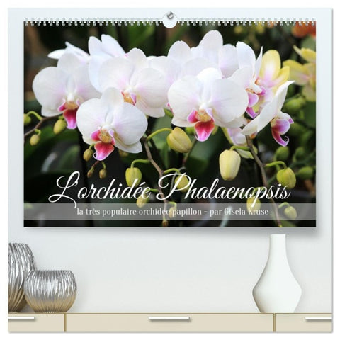 L'orchidée Phalaenopsis (Calendrier mural haut de gamme 2027 DIN A2 vertical), CALVENDO calendrier mensuel