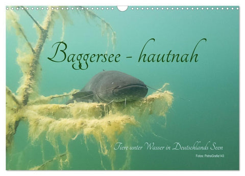 Baggersee -hautah (Wandkalender 2027 DIN A3 quer), CALVENDO Monatskalender