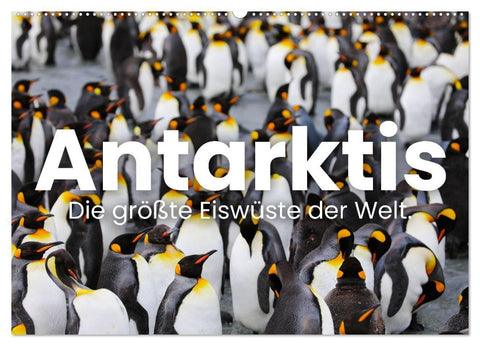 Antarktis - Die größte Eiswüste der Welt. (Wandkalender 2027 DIN A2 quer), CALVENDO Monatskalender