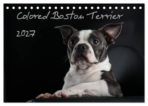 Colored Boston Terrier 2027 (Tischkalender 2027 DIN A5 quer), CALVENDO Monatskalender